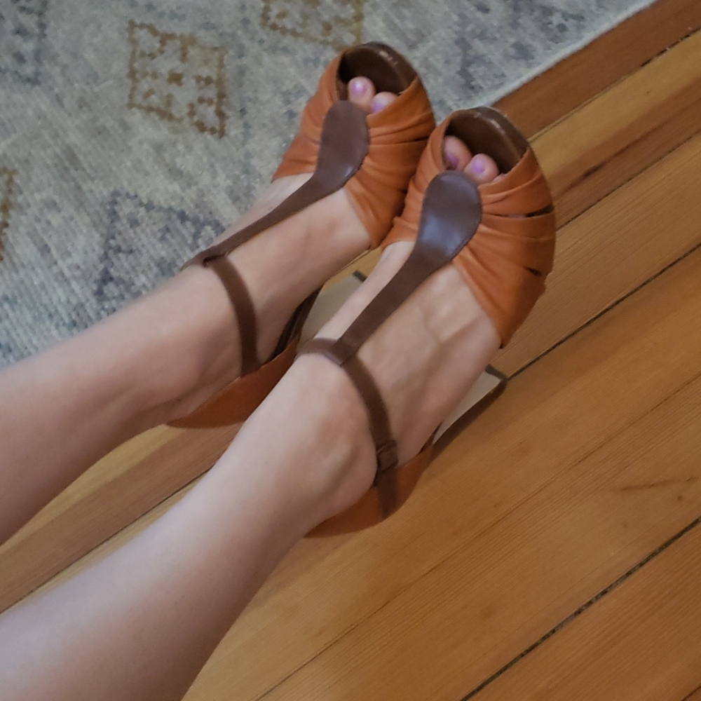 Seychelles Tan and Brown Sandals